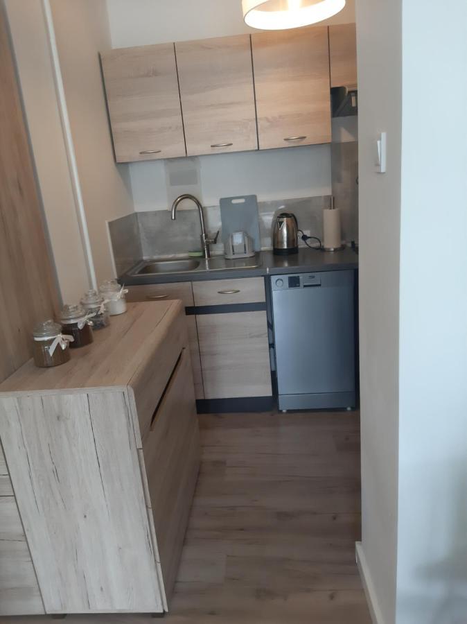 Apartament Komfortowy - W Pelni Wyposazony - Spaceapart Apartment Jelenia Gora Exterior photo